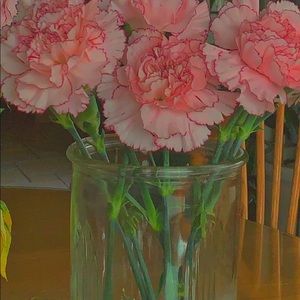 Meet your Posher, Tynisa